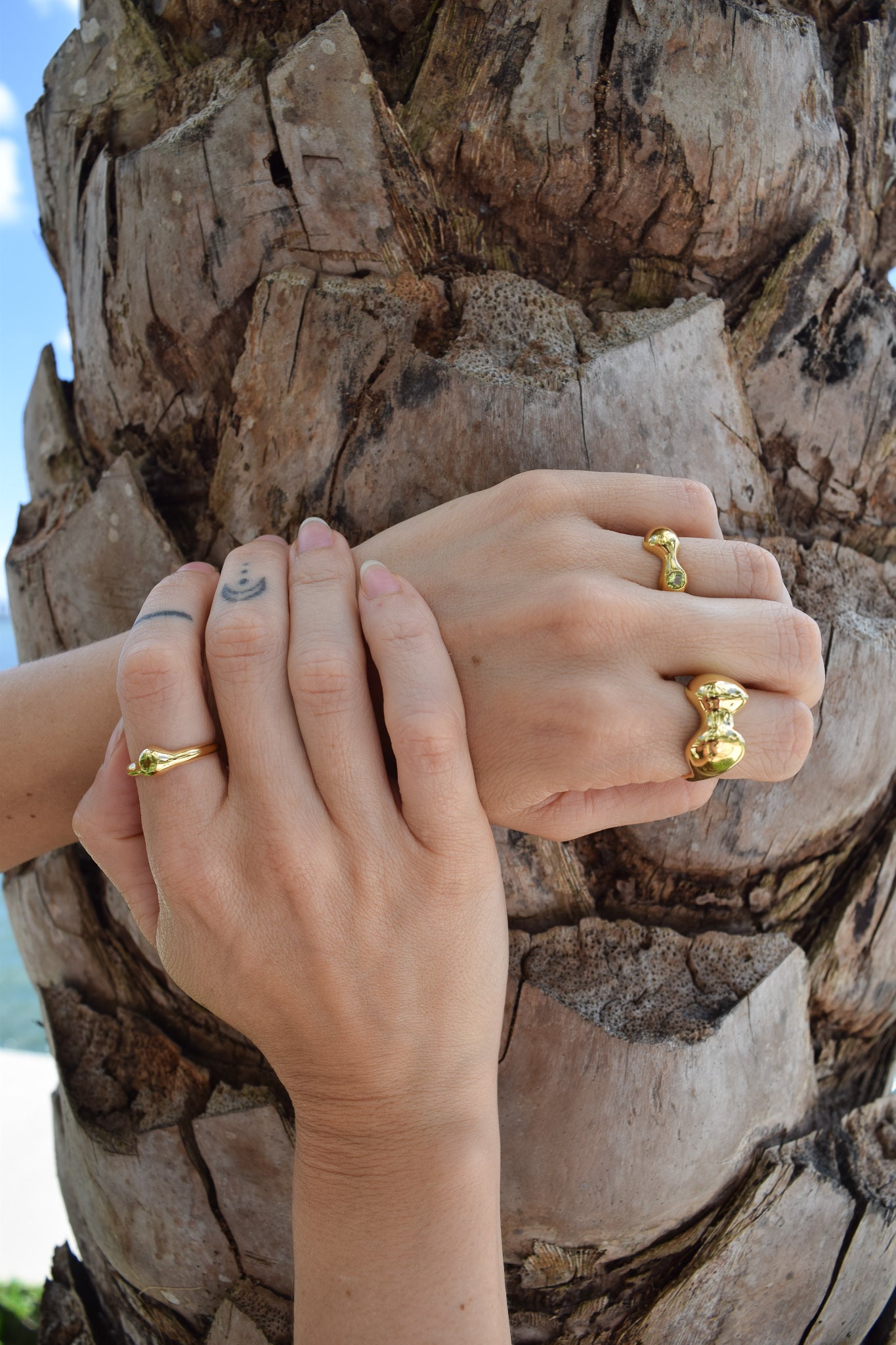03 Ring