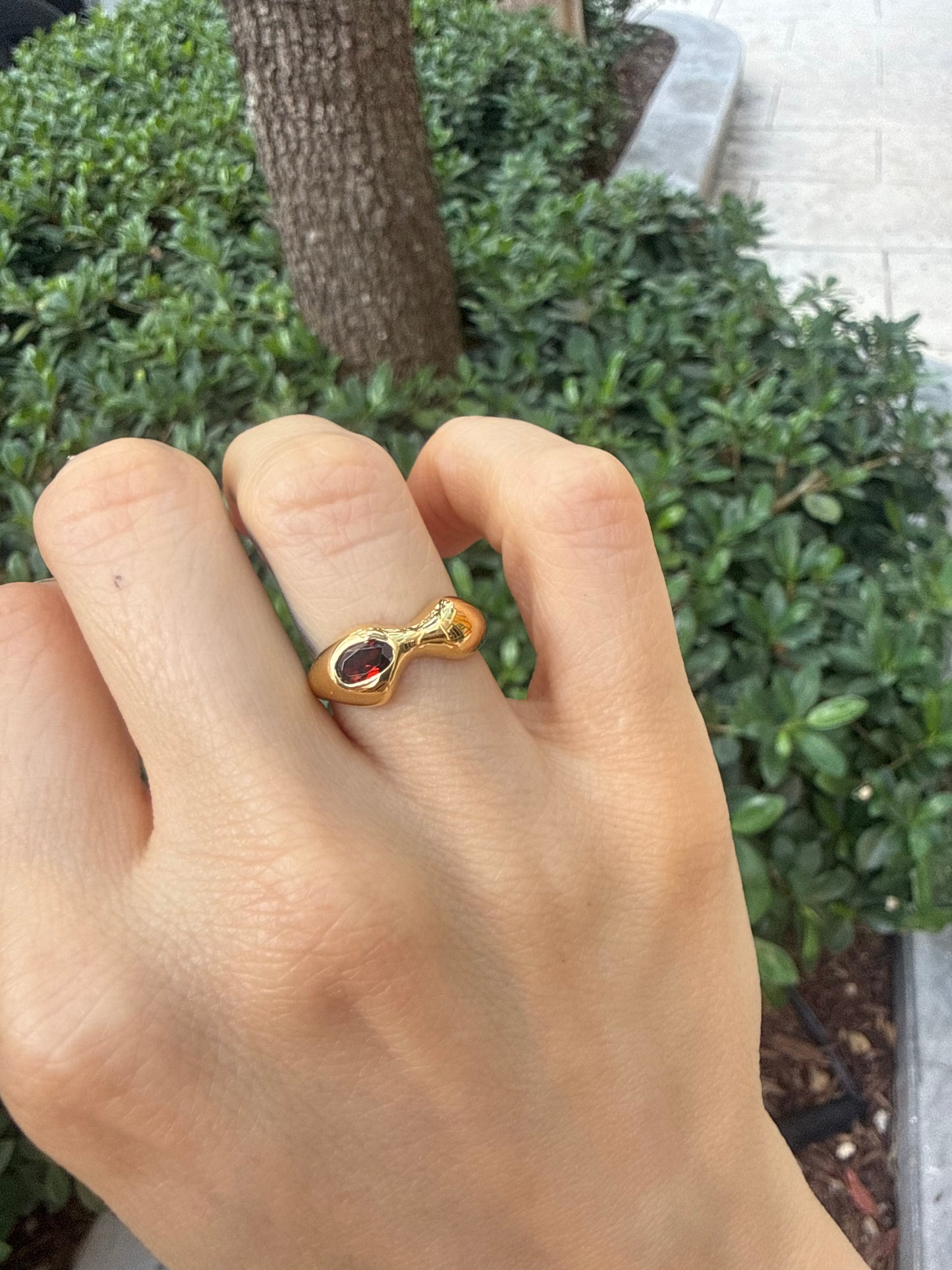01 Ring Garnet